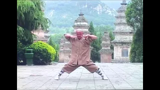 Shaolin Nan Quan