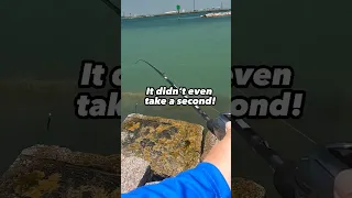 🔥Insane Saltwater Bite in Port Aransas!🔥