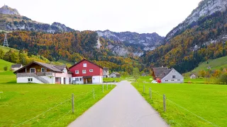 🍂 Magical Autumn Moments in Switzerland 🇨🇭 🍁 Golden Autumn Vibes in the Swiss Countryside | #swiss