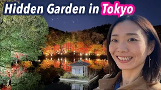 🔴Live Tokyo's Hidden Japanese Garden Autumn Illumination