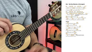 APRENDA "ELA" SORRISO MAROTO E FERRUGEM  NO CAVAQUINHO COM CIFRA - AULA DE CAVACO E BANJO LÉO SOARES