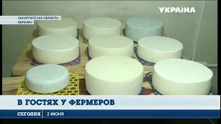 В Закарпатье активно развивают эко-фермы