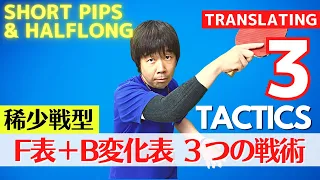 Double-Sided Short Pips Strategy: Effective Tactics[Table Tennis]