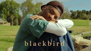 blackbird - a student film about graduation and growing up