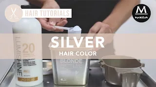 Silver Hair Color Tutorial with Matt Beck