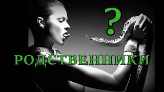 Неужели это правда!? Связь между людьми и змеем в библии