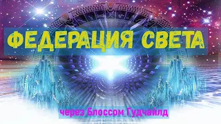 Федерация Света: вы все контролируете