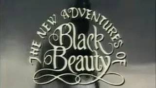 The New Adventures of Black Beauty (1990) Season 1 Episode 12 Horsesense