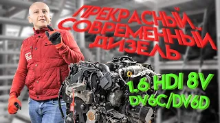Diesel to be proud of: the 8-valve 1.6 HDI for Ford, Peugeot and Citroën. Subtitles!