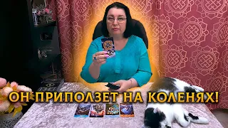 ШОК...ОН ПРИПОЛЗЕТ НА КОЛЕНЯХ...