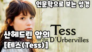 인문학으로 보는 성경 | 산헤드린 앞의 "테스(Tess)" | 사회의 강자가 약자를 대하는 자세