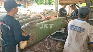 Rejeki Nomplok,,! Cara menggergaji kayu randu untuk papan cor agar rapi & presisi