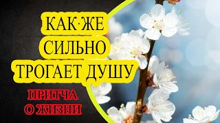 Яблоня и мальчик | Сильная Притча До Слез | Слова О Жизни