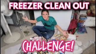 Freezer Clean Out Challenge | Low Spend Month with a Pantry Challenge | Budget Dinner Planning