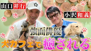 山口祥行と犬カフェを満喫！強面俳優のデレデレの姿ご覧ください！