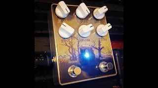 Pedal Demo - Coda Effects Black Hole Clone (Sunn Model T Preamp)