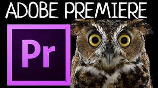 Настройки анимации в Adobe Premiere