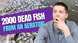 2000 Dead Fish From A Pond Aerator - Right After Installation!