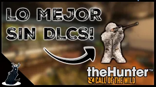 Los MEJORES RIFLES base de thehunter:COTW