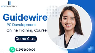 guidewire training demo 0