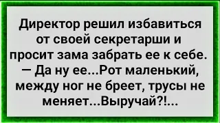 Директор Решил Избавиться от Секретарши! Сборник Свежих Анекдотов! Юмор!