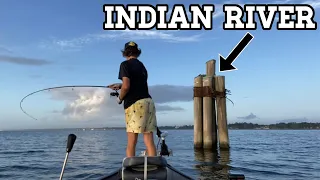 Indian River Fishing with Live Shrimp - EPIC Slayfest!!