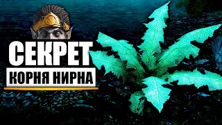 Skyrim - Что скрывает КОРЕНЬ НИРНА? ( Секреты 428 )