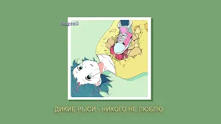 ДИКИЕ РЫСИ - НИКОГО НЕ ЛЮБЛЮ [slowed + lyrics]