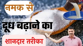 नमक सें गर्मी में गाय भैंस का दूध कैसे बढ़ाएं Ramawat