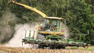 🔥 6 OPTUMÓW vs 850HA 🌽 KUKURYDZA na WIELKĄ SKALĘ! - GR Stelęgowscy