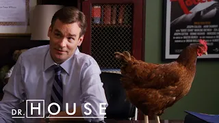 House, Wilson und die Sache mit den Hühnern| Dr. House DE