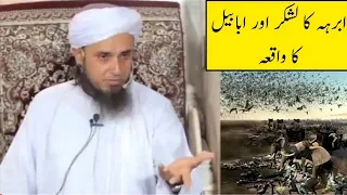 Birds Defending KAABA | King Abraha Ka Kaaba Par Hamla 🔥 Story Of Ababeel Birds And Elephant 🔥 HI