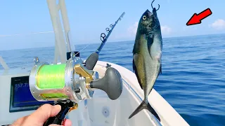 Dropping Huge Baits Over a Sunken Shipwreck! *Catch, Clean, Cook*