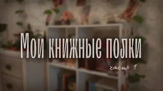 ✨ МОИ маленькие КНИЖНЫЕ ПОЛКИ ✨ (часть 1/2)