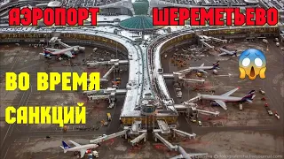 Санкции в действии.Современный аэропорт ШЕРЕМЕТЬЕВО.Красивые русские люди летят на отдых за границу