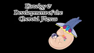 Histology and Development of the Choroid Plexus