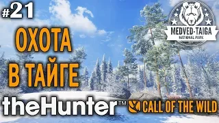 theHunter call of the wild #21 🔫 - Охота в Тайге - Арбалет, Винтовка - Кабарга, Олень