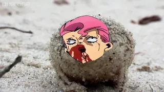 Angry Squeaking Doppio