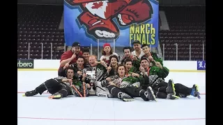 Midget Platinum Final - Tour Roadrunners vs Mission Bauer BorderCats