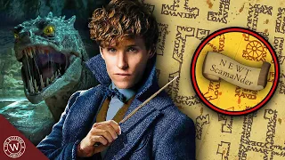 Why Newt Scamander was on the Marauders Map