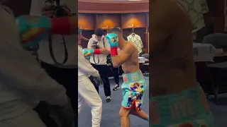 Teofimo Lopez VICTORIOUS