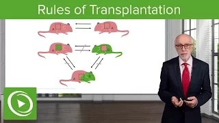 Introduction to the Problems and Rules of Transplantation – Immunology | Lecturio