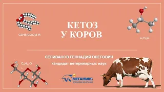 МЕГАМИКС - AGROINDEX: Геннадий Селиванов - Распространённые ошибки, приводящие к кетозу у коров