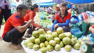 Harvesting Melons Go To Market Sell, Wood Floor Painting || Phương - Free Bushcraft