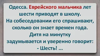 ✡️ Еврейский Мальчик на Собеседовании в Школе! Еврейские Анекдоты! Анекдоты про Евреев! Выпуск #143