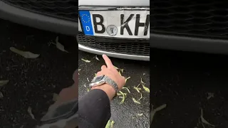 Подбор Audi TT в Германии