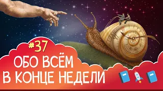 ОВКН 37 || покупки, планы, ожидаемая книжная фантастика