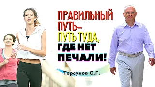 Правильный путь - туда, где НЕТ ПЕЧАЛИ! Торсунов О.Г.