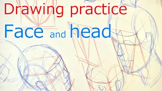 顔と頭部のワイヤーを描く練習 : Drawing Practice Face and head