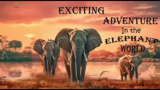 The charm and wonders of the world of elephants🐘🐘